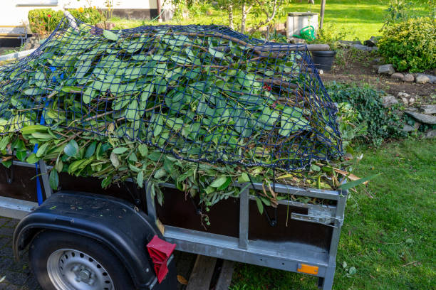Best Construction Debris Removal  in Mackinaw, IL